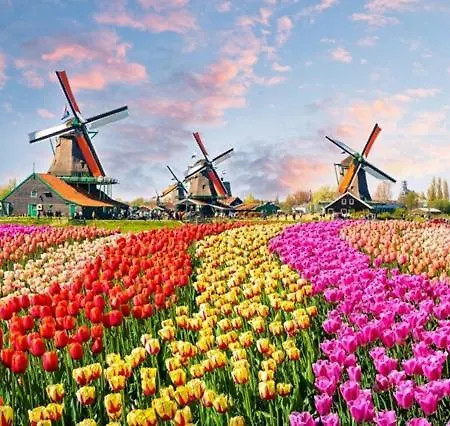 シャレー Uniek In Rustige En Groene Omgeving